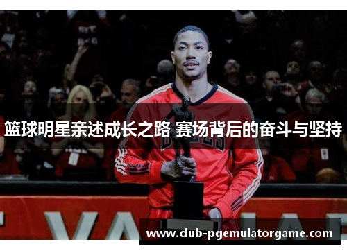 篮球明星亲述成长之路 赛场背后的奋斗与坚持