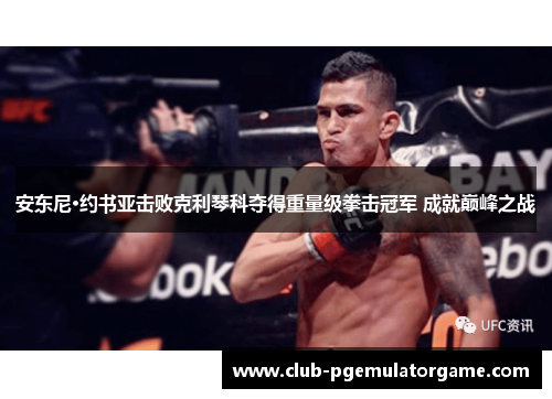 安东尼·约书亚击败克利琴科夺得重量级拳击冠军 成就巅峰之战