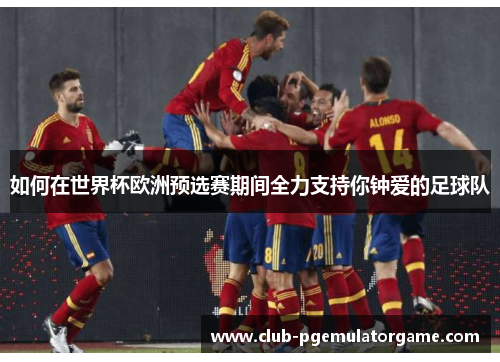 如何在世界杯欧洲预选赛期间全力支持你钟爱的足球队