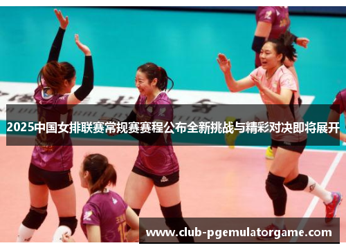 2025中国女排联赛常规赛赛程公布全新挑战与精彩对决即将展开