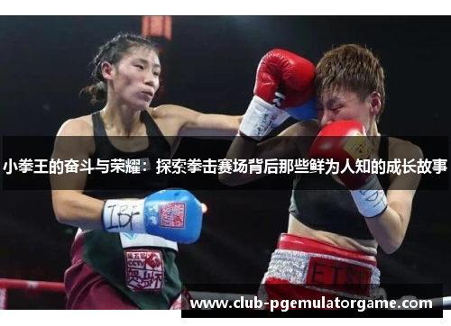 小拳王的奋斗与荣耀：探索拳击赛场背后那些鲜为人知的成长故事