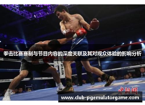 拳击比赛赛制与节目内容的深度关联及其对观众体验的影响分析