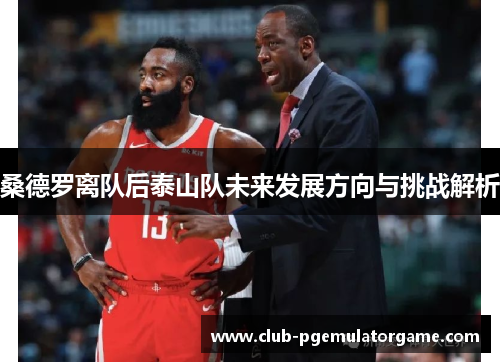 桑德罗离队后泰山队未来发展方向与挑战解析