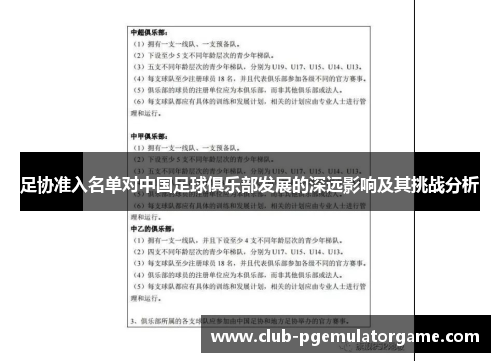 足协准入名单对中国足球俱乐部发展的深远影响及其挑战分析