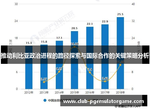 推动利比亚政治进程的路径探索与国际合作的关键策略分析