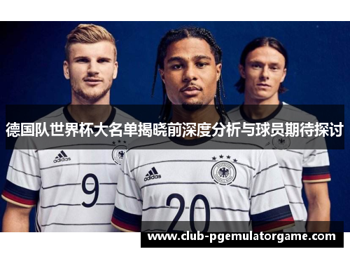 德国队世界杯大名单揭晓前深度分析与球员期待探讨