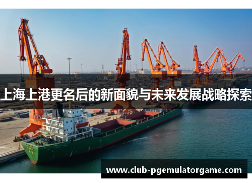 上海上港更名后的新面貌与未来发展战略探索