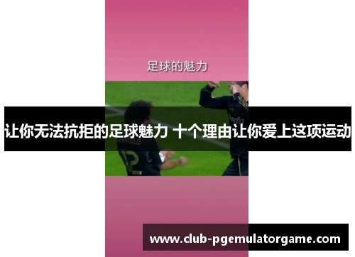 让你无法抗拒的足球魅力 十个理由让你爱上这项运动