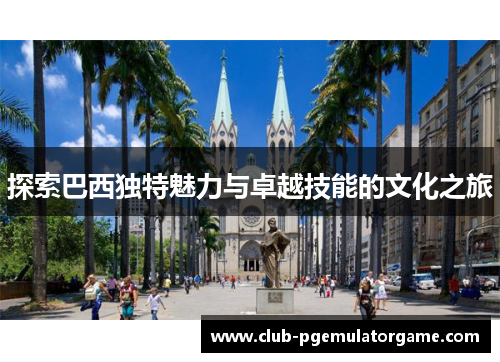 探索巴西独特魅力与卓越技能的文化之旅