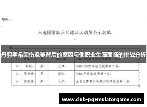 丹羽孝希因伤退赛背后的原因与他职业生涯面临的挑战分析