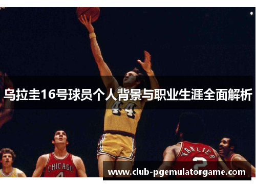 乌拉圭16号球员个人背景与职业生涯全面解析