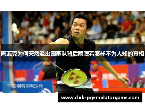 陶菲克为何突然退出国家队背后隐藏着怎样不为人知的真相