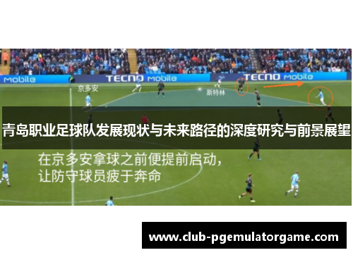 青岛职业足球队发展现状与未来路径的深度研究与前景展望