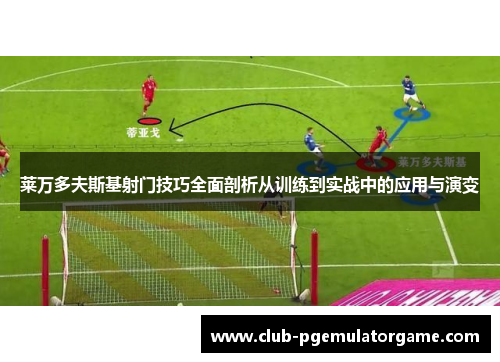 莱万多夫斯基射门技巧全面剖析从训练到实战中的应用与演变