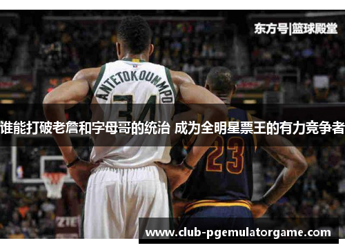 谁能打破老詹和字母哥的统治 成为全明星票王的有力竞争者