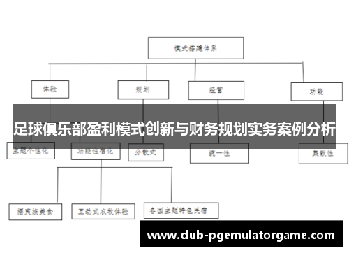 足球俱乐部盈利模式创新与财务规划实务案例分析