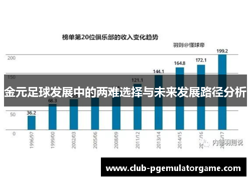 金元足球发展中的两难选择与未来发展路径分析