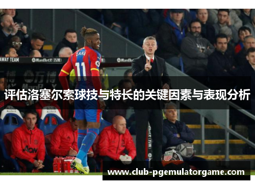 评估洛塞尔索球技与特长的关键因素与表现分析