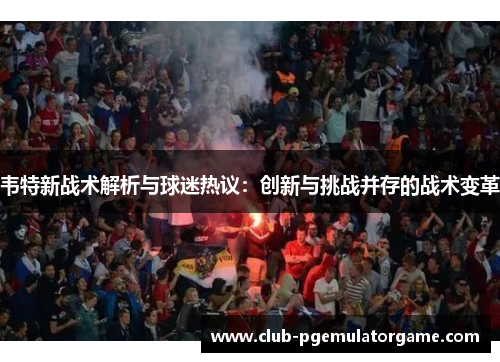 韦特新战术解析与球迷热议：创新与挑战并存的战术变革